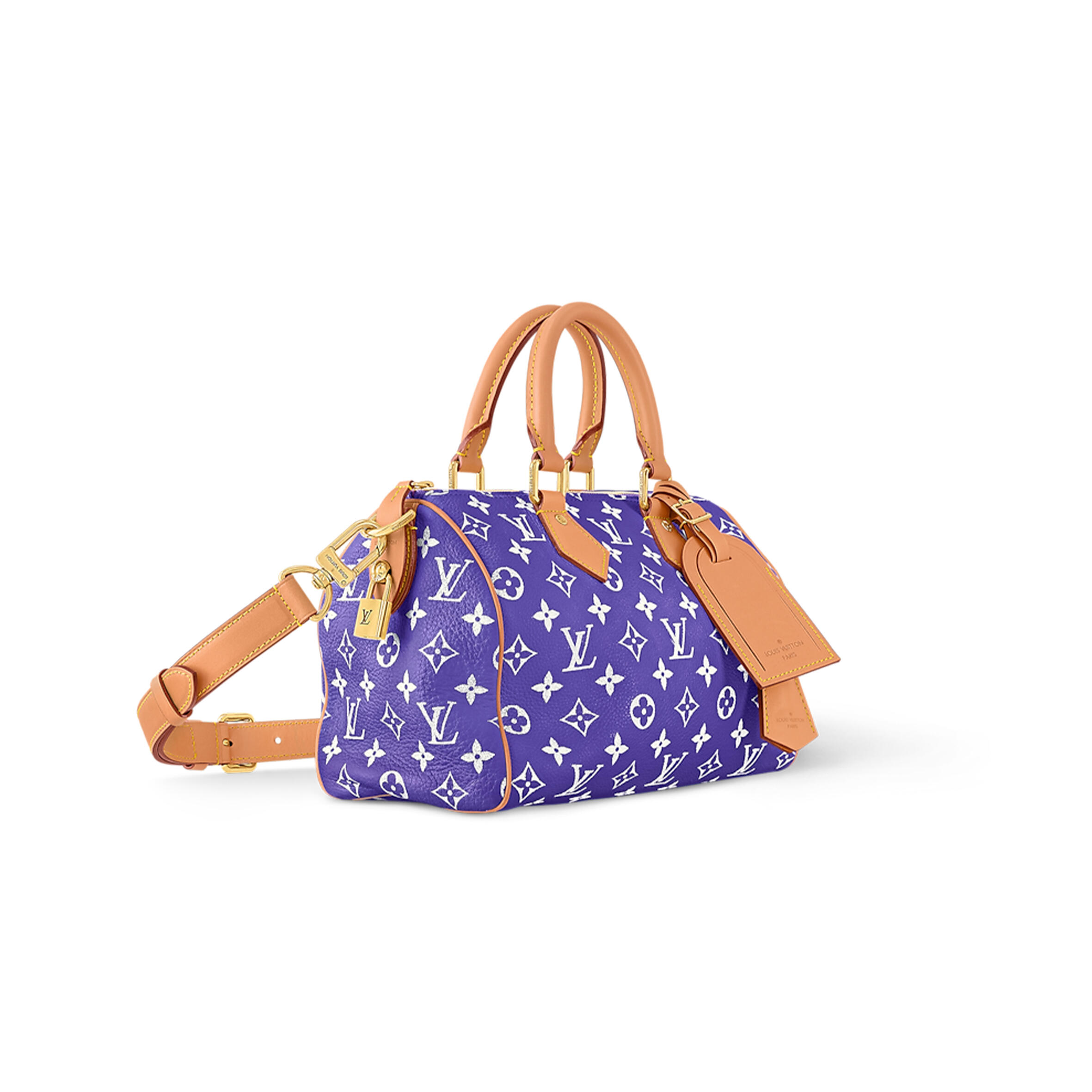 LV MASTER Speedy P9 Bandoulière M11562 (25*15*15cm)