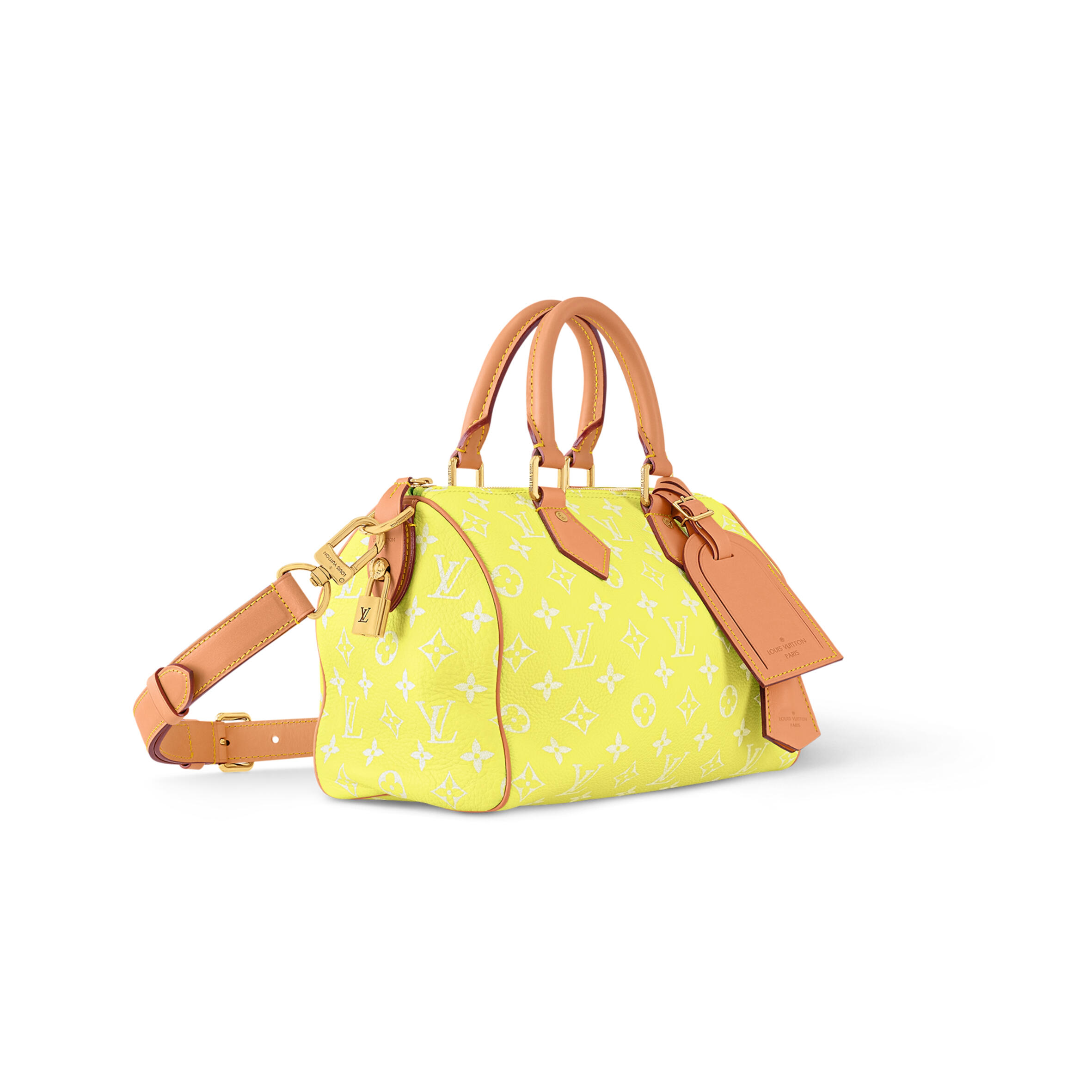 LV SPEEDY Bandoulière25 M13902 (25*15*15cm)