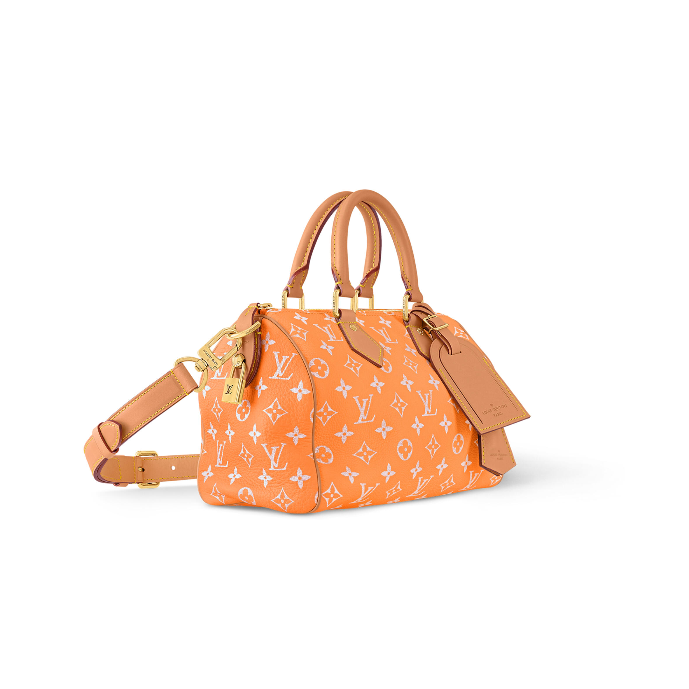 LV MASTER Speedy P9 Bandoulière 25 M13912 (25*15*15cm)