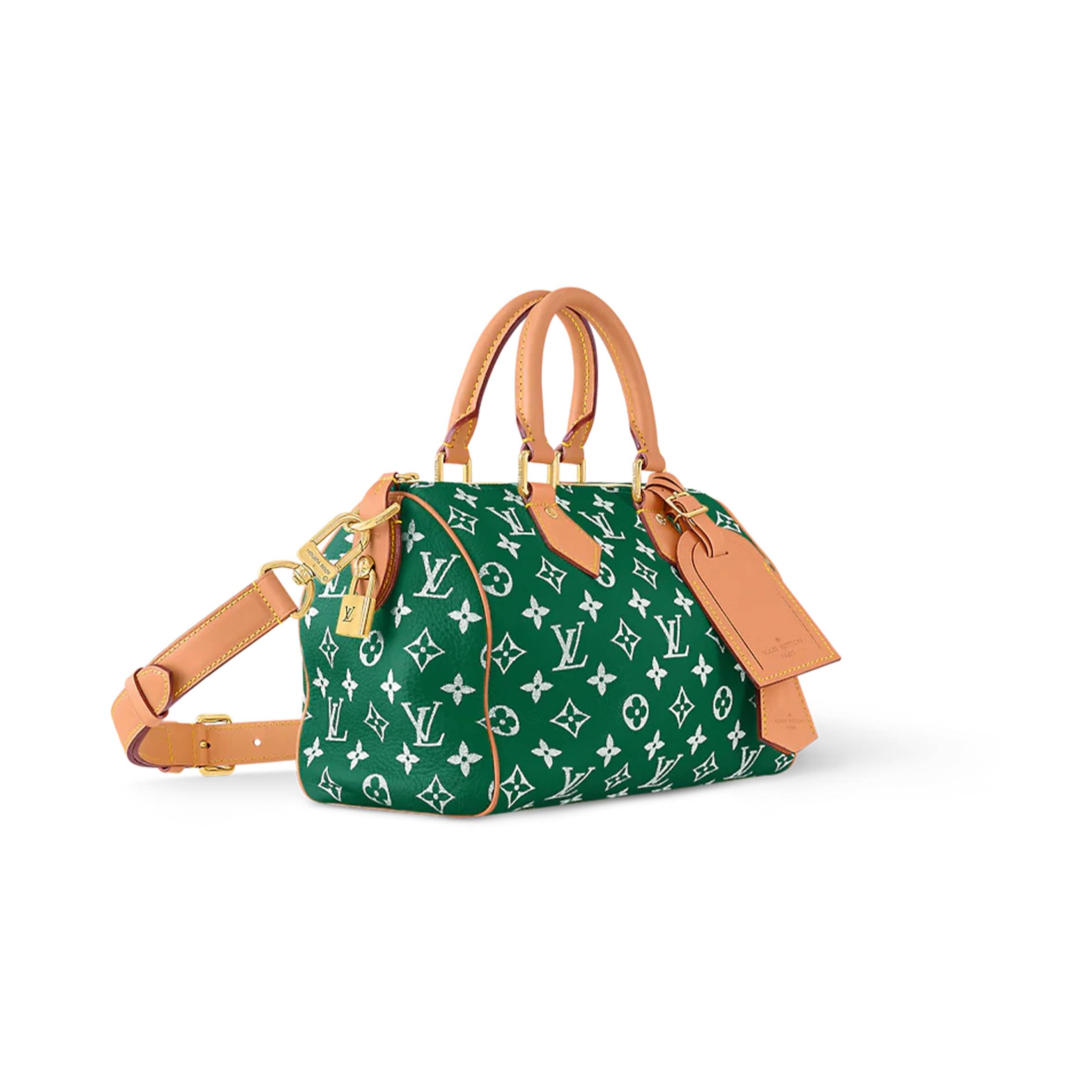 LV SPEEDY Bandoulière25 M24423 (25*15*15cm)