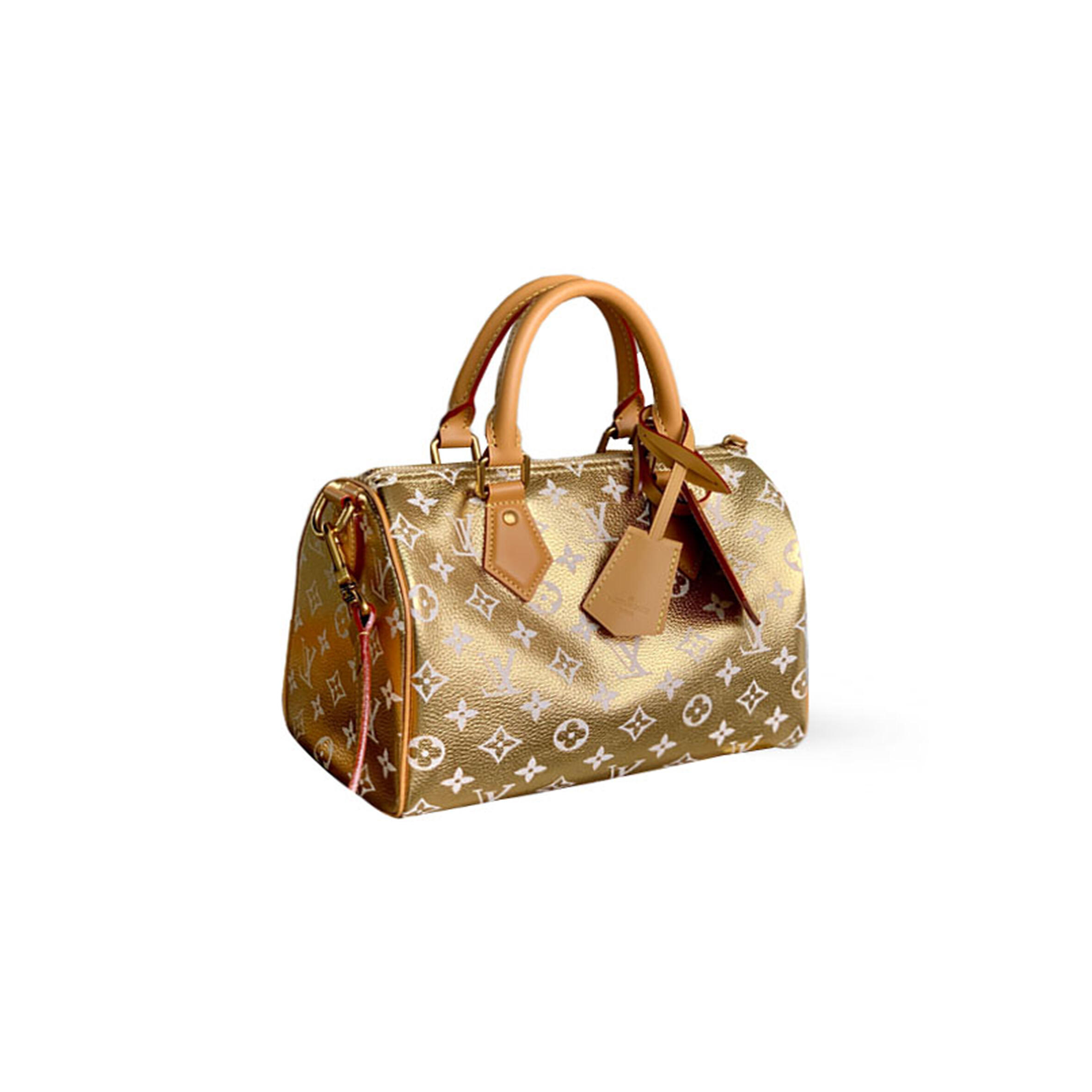 LV Speedy P9 Bandoulière 25 M24440 (25*15*15CM)