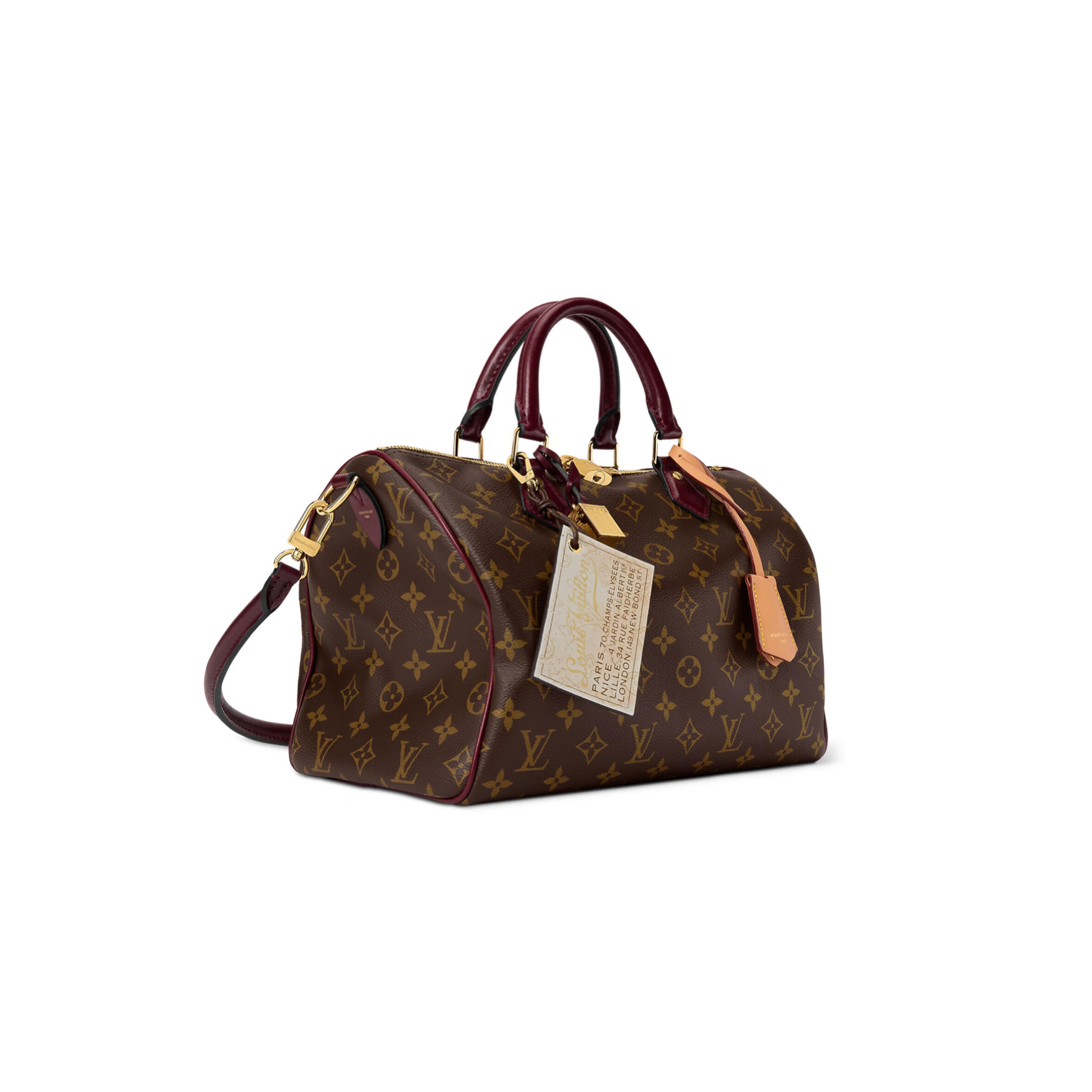 Louis Vuitton Speedy 30 Soft Celebration Monogram Handbag M28379 (30*21*17cm)
