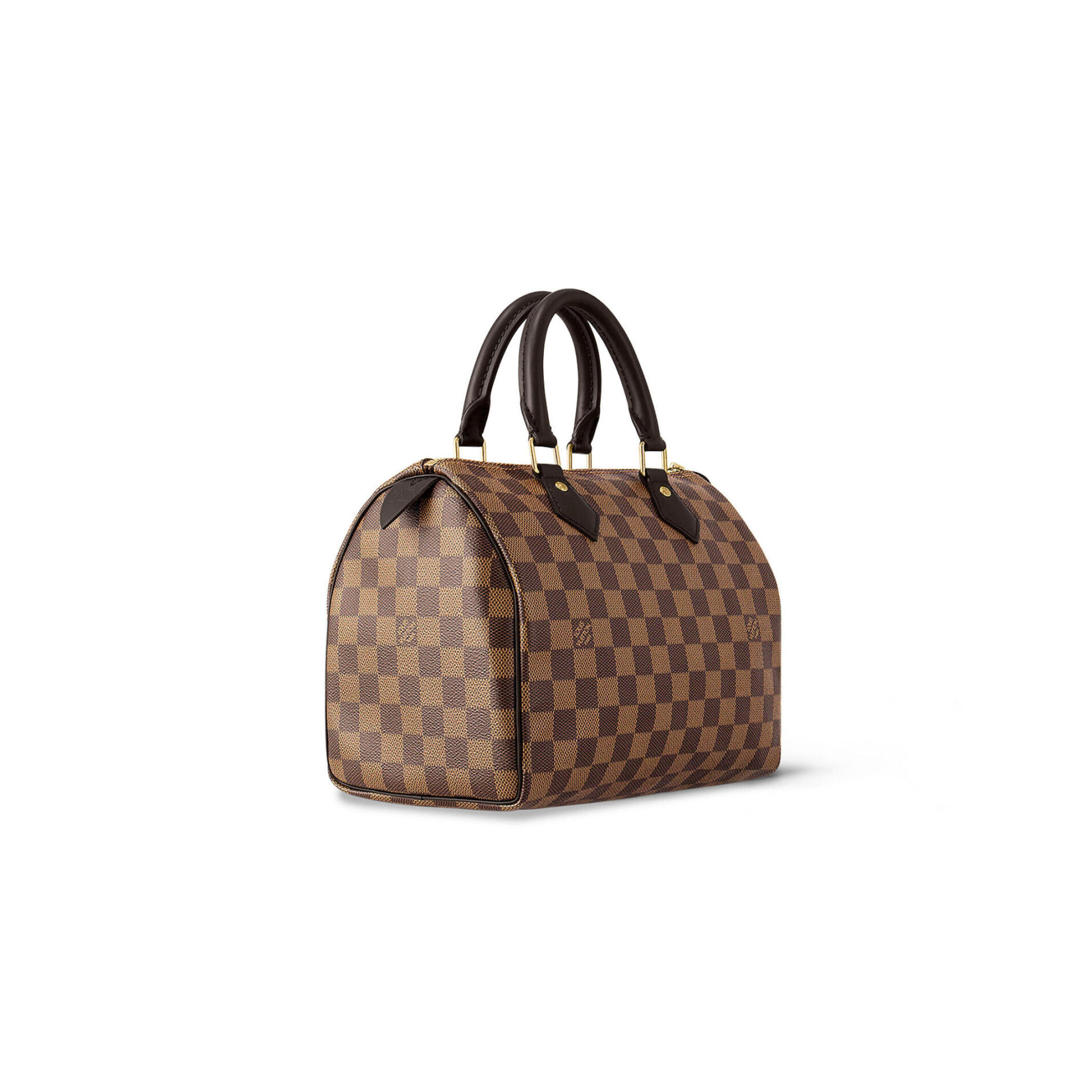 Louis Vuitton N41365 Speedy 25