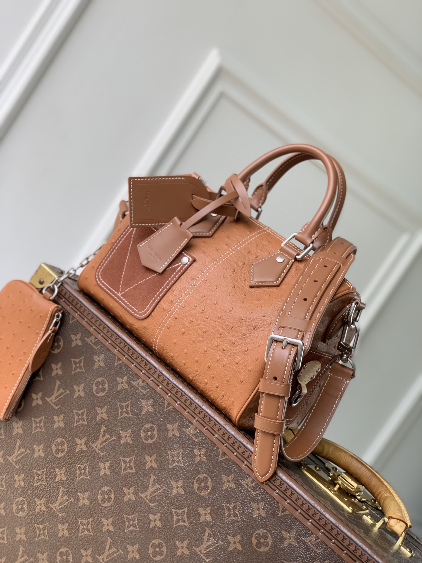 LV MASTER Speedy P9 Bandoulière 25 N89119 (25*15*15cm) - Image 2