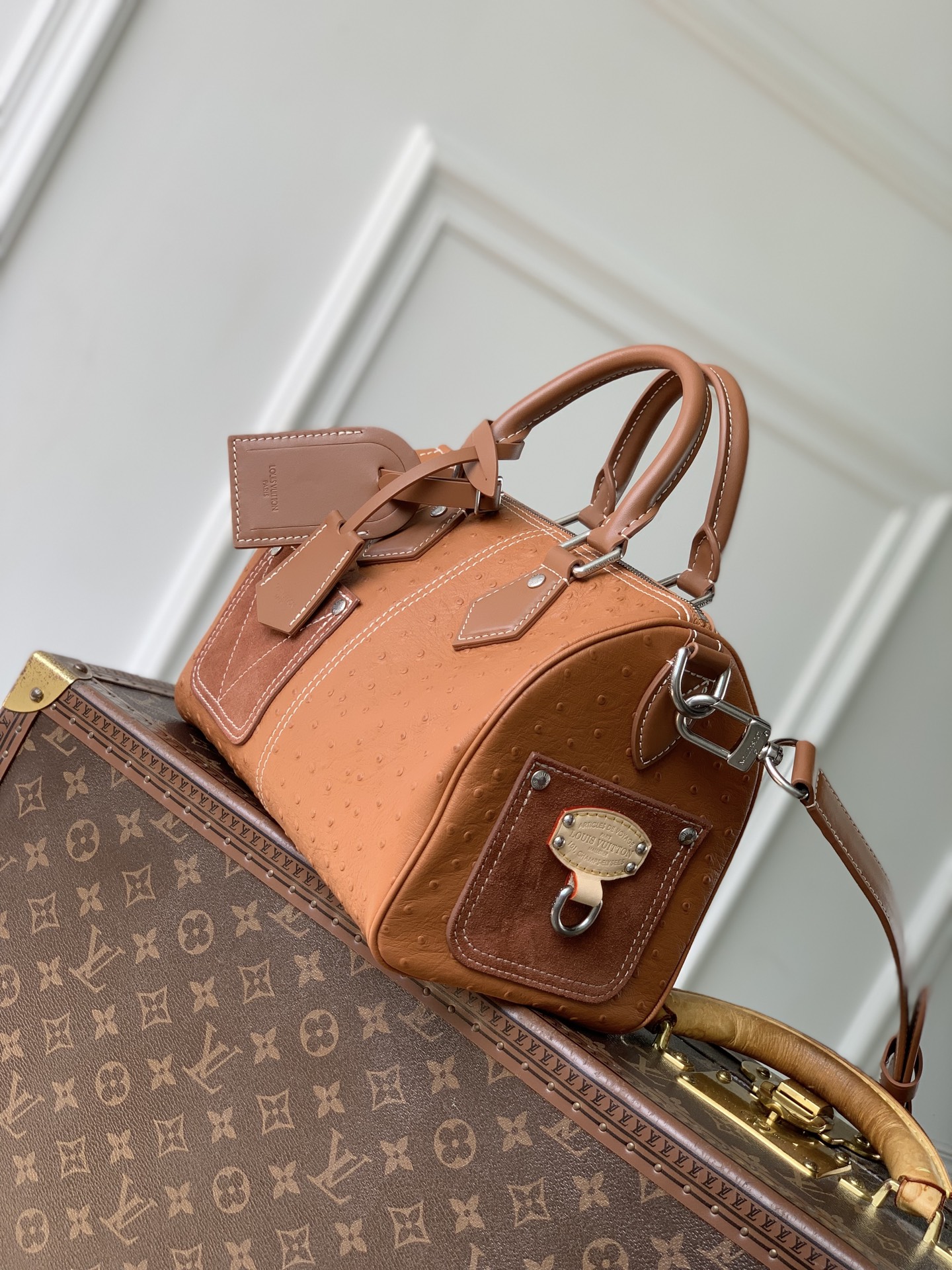LV MASTER Speedy P9 Bandoulière 25 N89119 (25*15*15cm) - Image 3