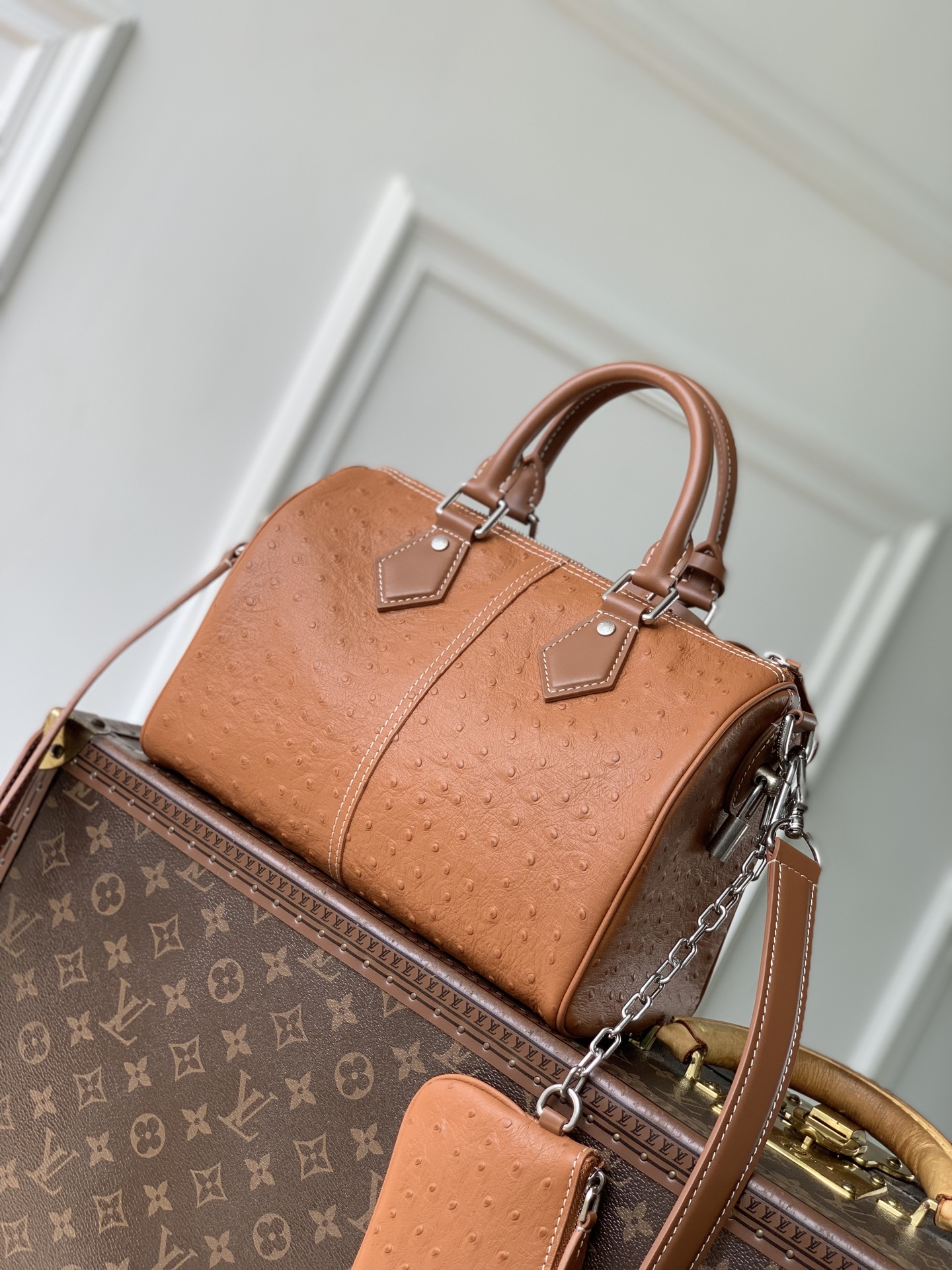 LV MASTER Speedy P9 Bandoulière 25 N89119 (25*15*15cm) - Image 5