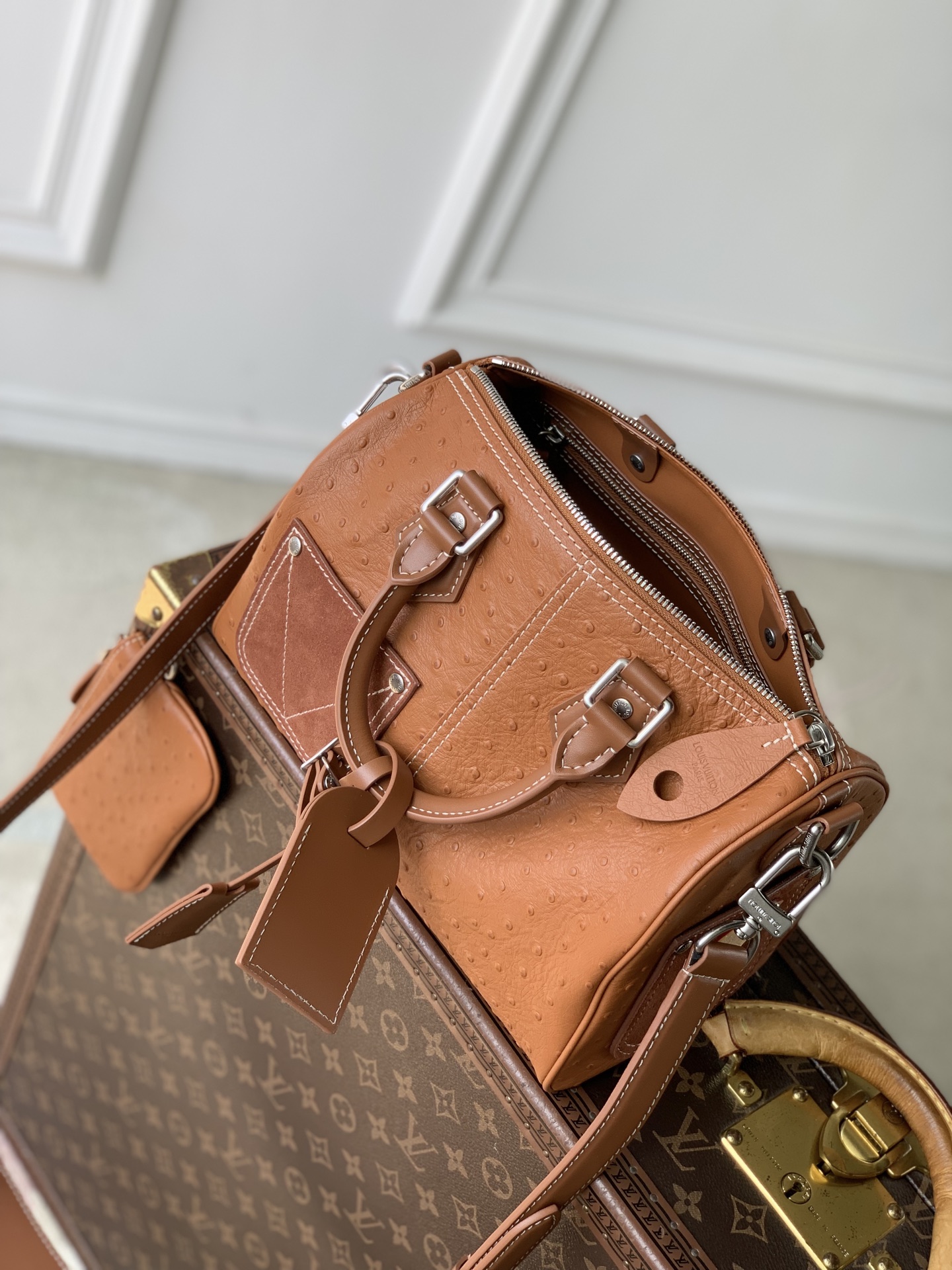 LV MASTER Speedy P9 Bandoulière 25 N89119 (25*15*15cm) - Image 4