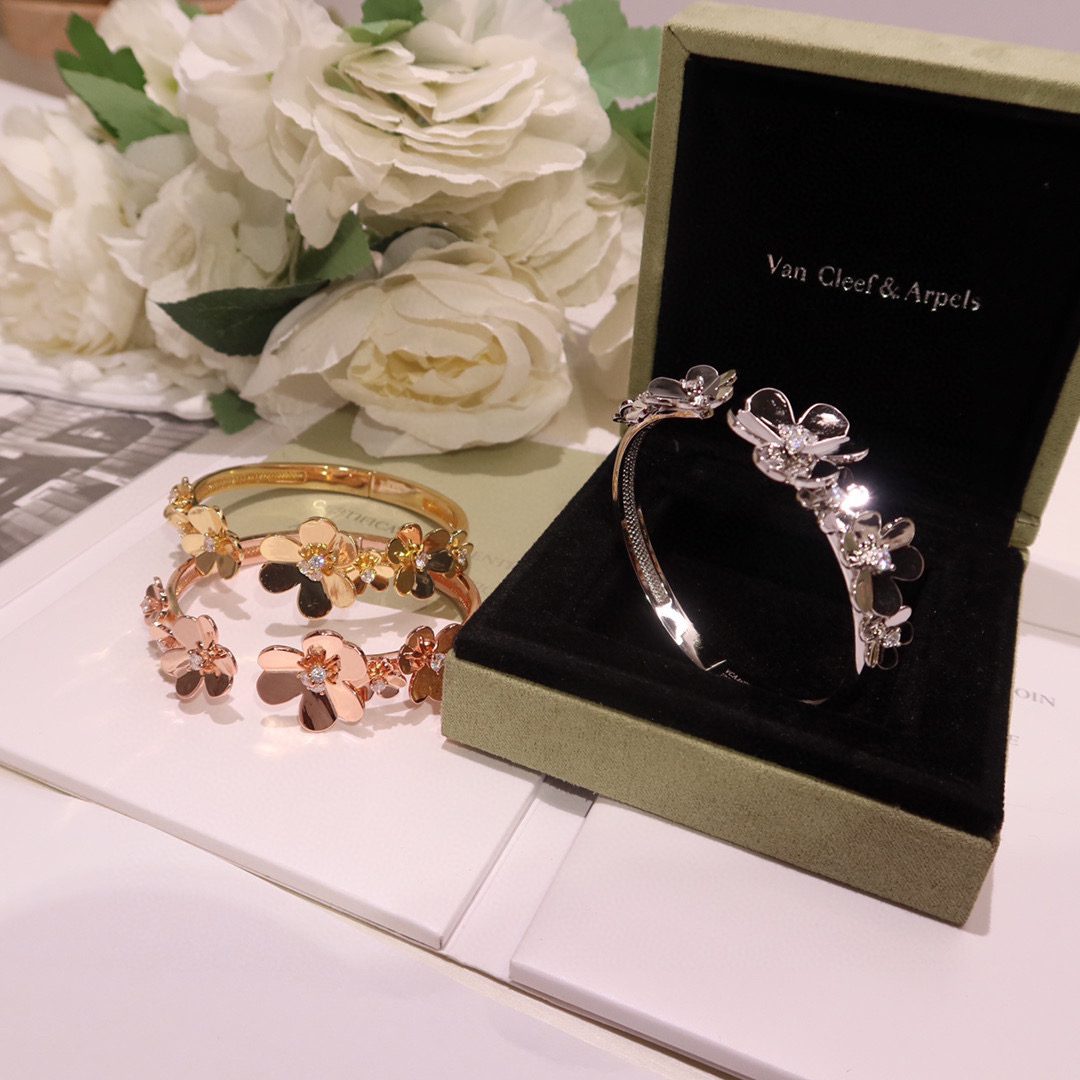 Van Cleef & Arpels Lucky Spring bracelet, closed wings ladybug - Image 6