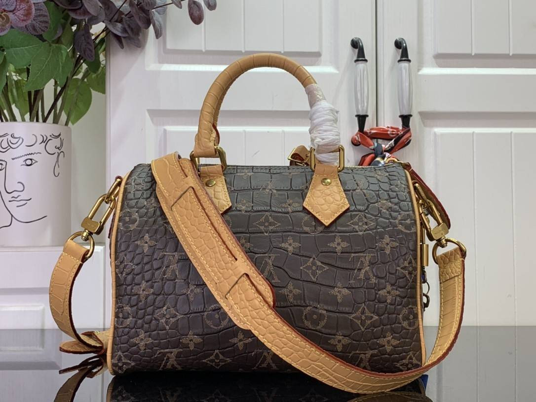 LV MASTER Speedy P9 BANDOULIÈRE 25 N87504 (25*15*15cm) - Image 3