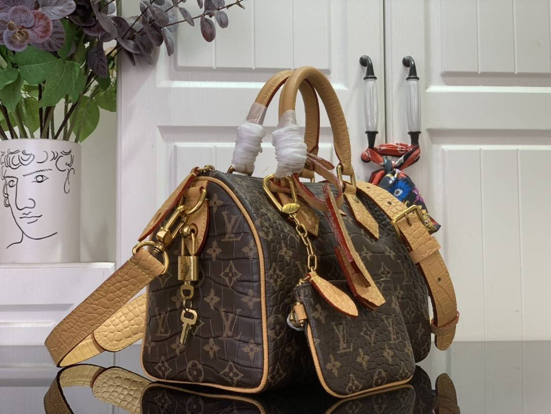LV MASTER Speedy P9 BANDOULIÈRE 25 N87504 (25*15*15cm) - Image 5