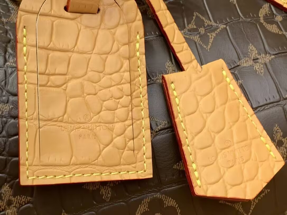 LV MASTER Speedy P9 BANDOULIÈRE 25 N87504 (25*15*15cm) - Image 7