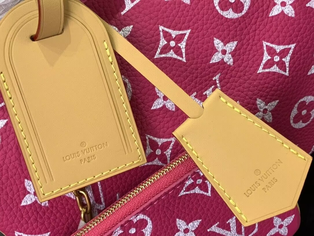 LV Speedy P9 Bandoulière 25 M11563-1 - Image 10