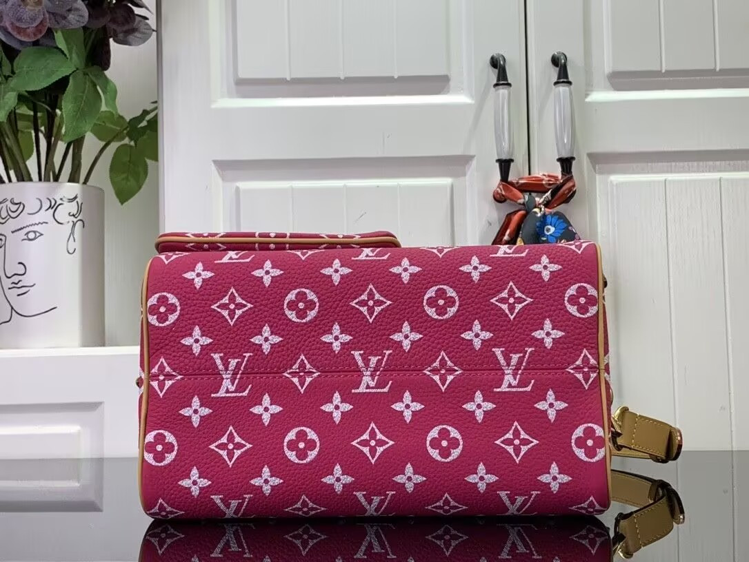 LV Speedy P9 Bandoulière 25 M11563-1 - Image 5