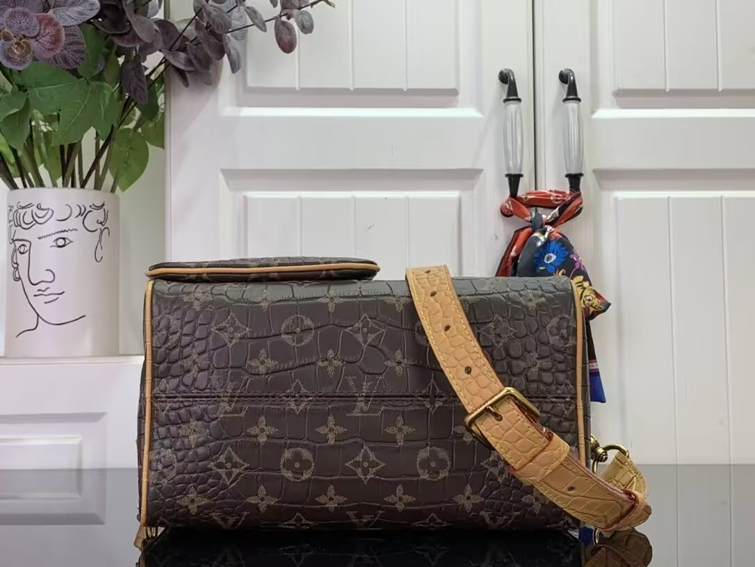 LV MASTER Speedy P9 BANDOULIÈRE 25 N87504 (25*15*15cm) - Image 6