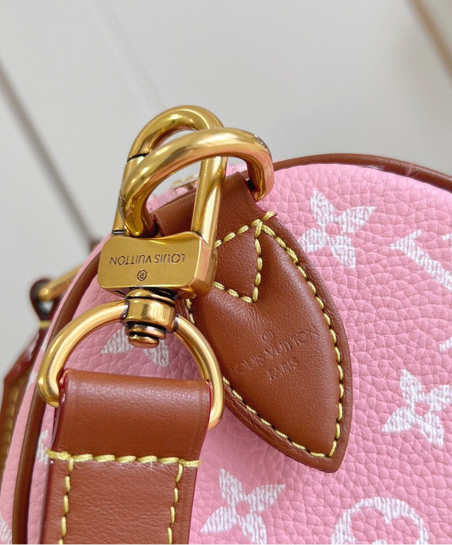 LV Speedy P9 Bandoulière M15279 (25*15*15cm) - Image 9