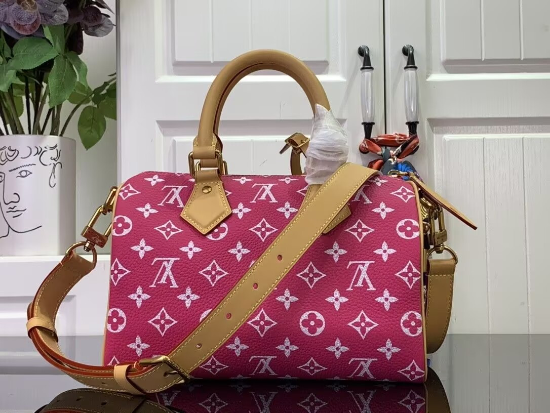 LV Speedy P9 Bandoulière 25 M11563-1 - Image 4