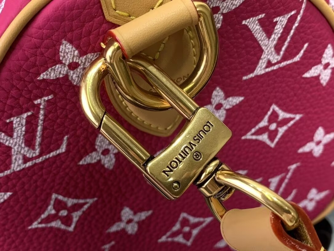 LV Speedy P9 Bandoulière 25 M11563-1 - Image 8