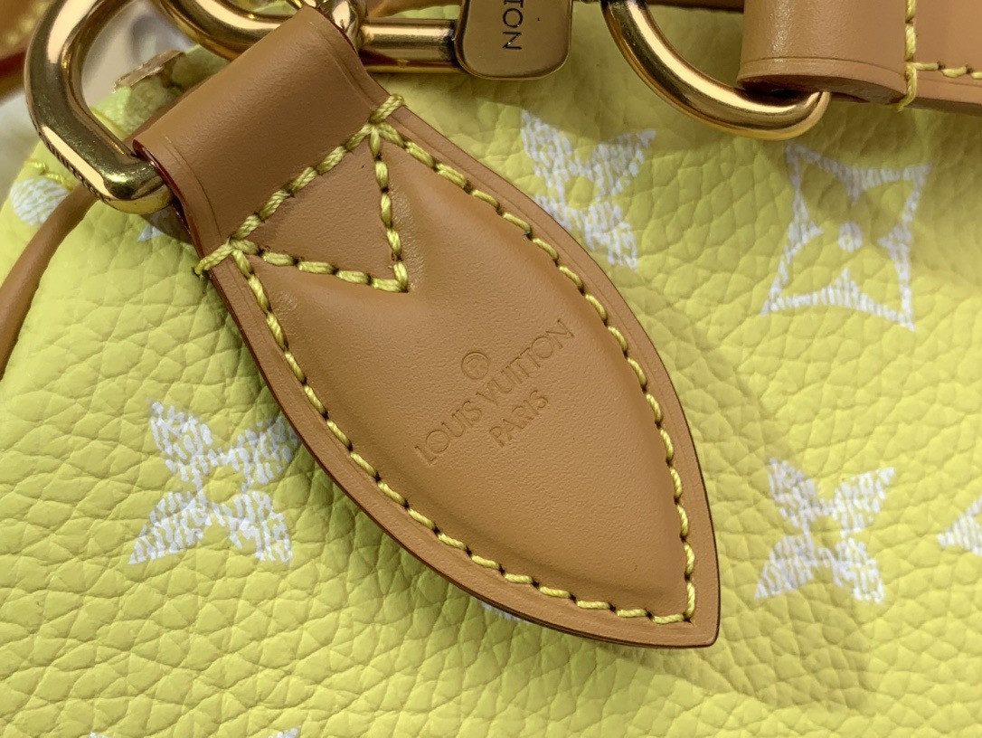 LV SPEEDY Bandoulière25 M13902 - Image 9