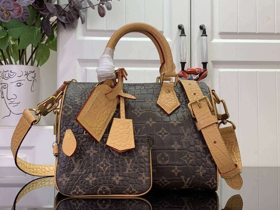 LV MASTER Speedy P9 BANDOULIÈRE 25 N87504 (25*15*15cm) - Image 2