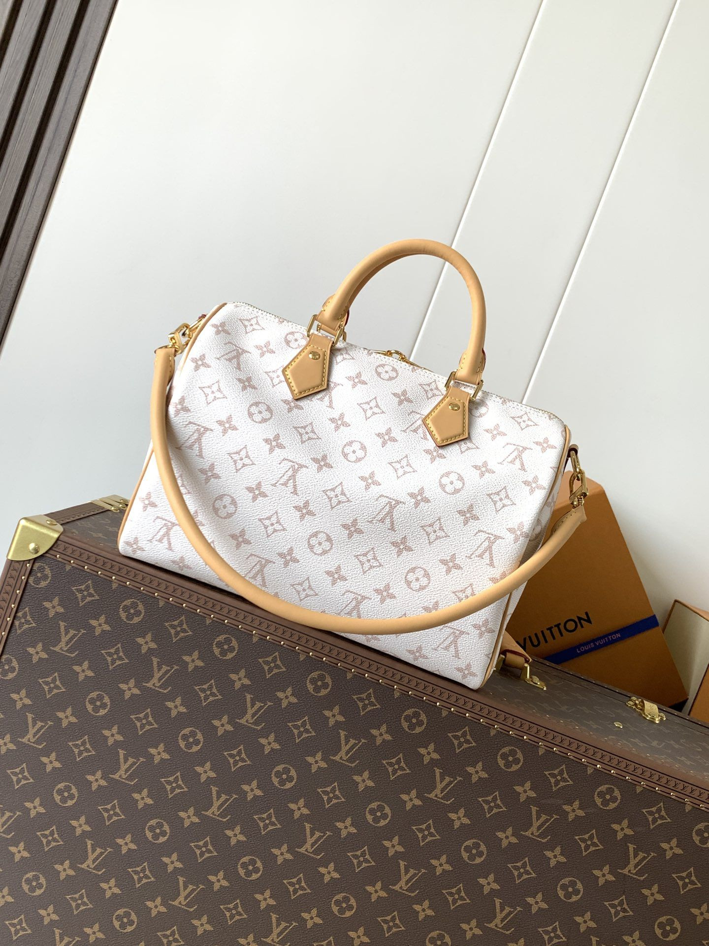 LV Speedy Soft 30 Lucky M15108 (30*27*17cm) - Image 3