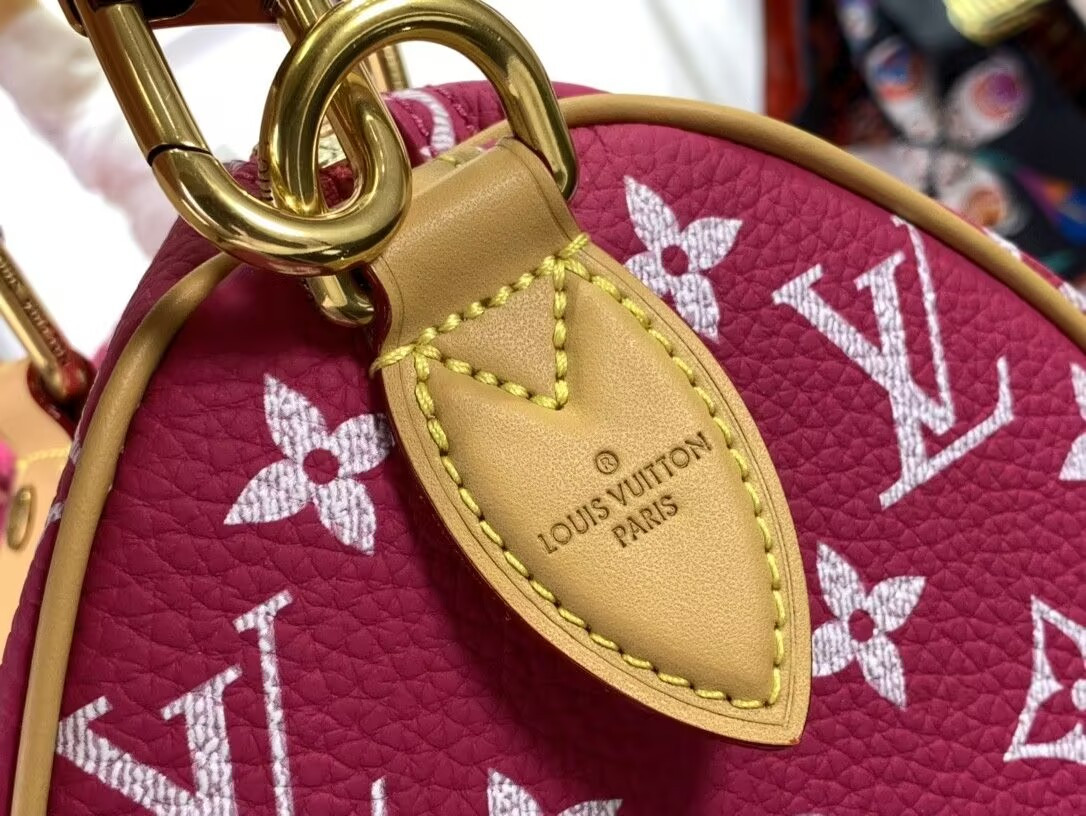 LV Speedy P9 Bandoulière 25 M11563-1 - Image 9