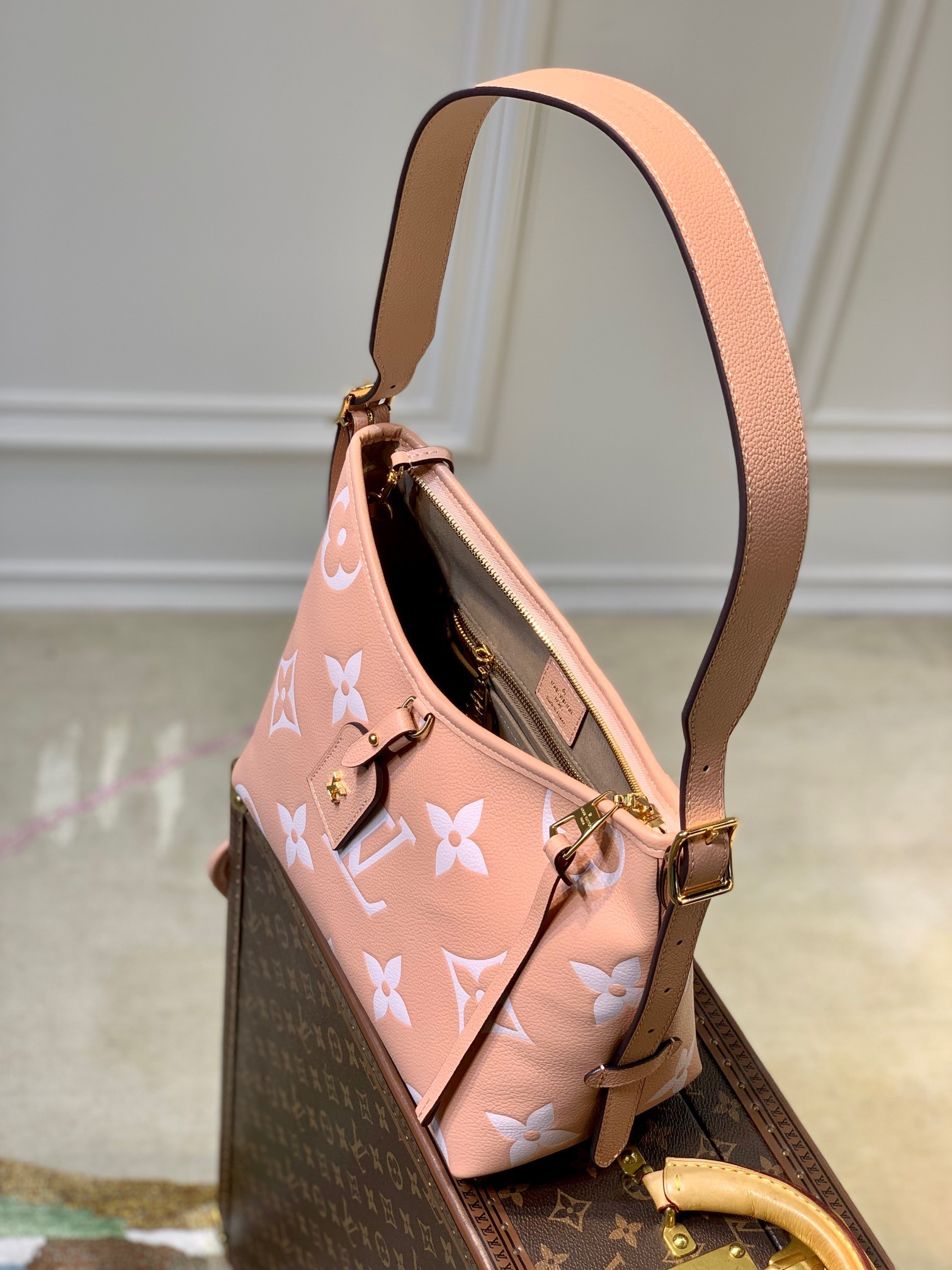 CarryAll PM M46298 - Image 5