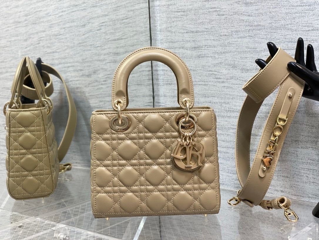 Lady Dior Bag 20x8x18cm - Image 2