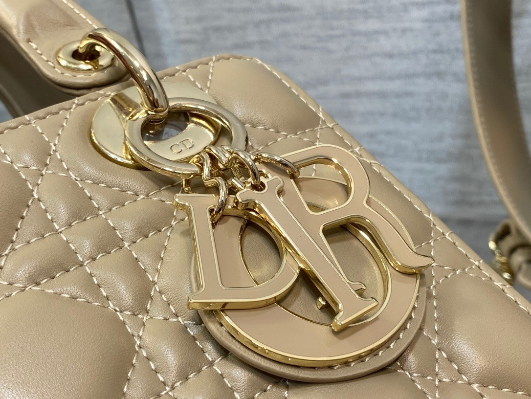 Lady Dior Bag 20x8x18cm - Image 6