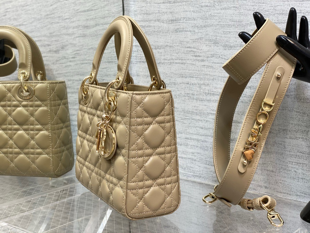 Lady Dior Bag 20x8x18cm - Image 9