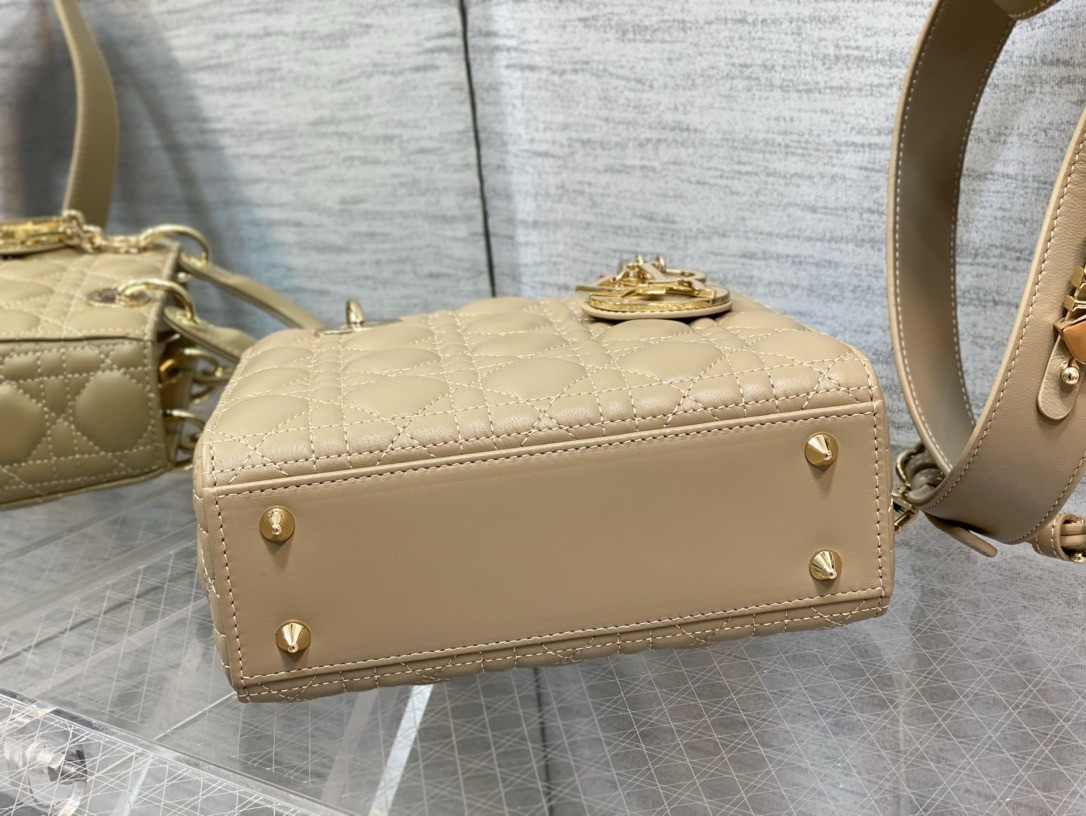 Lady Dior Bag 20x8x18cm - Image 10