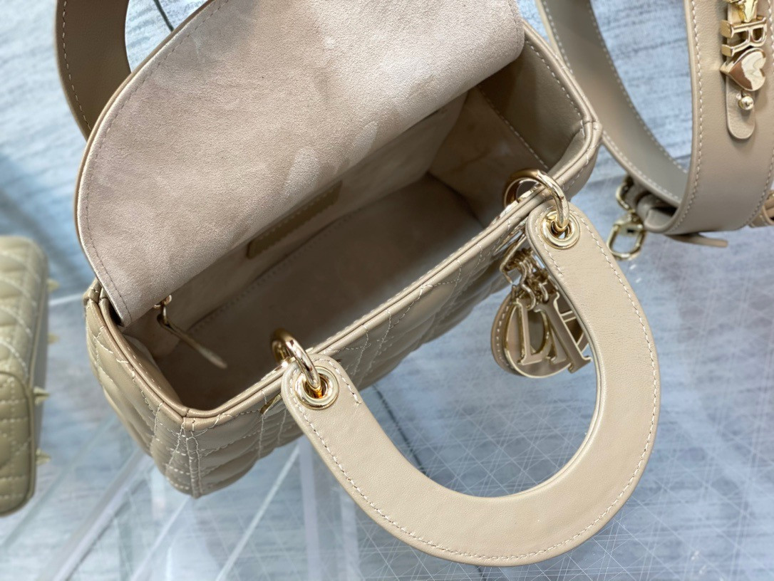 Lady Dior Bag 20x8x18cm - Image 3