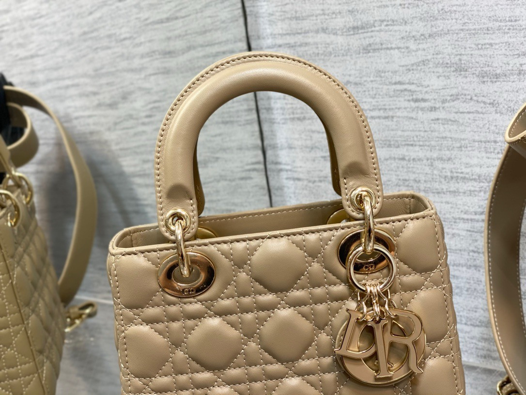 Lady Dior Bag 20x8x18cm - Image 4