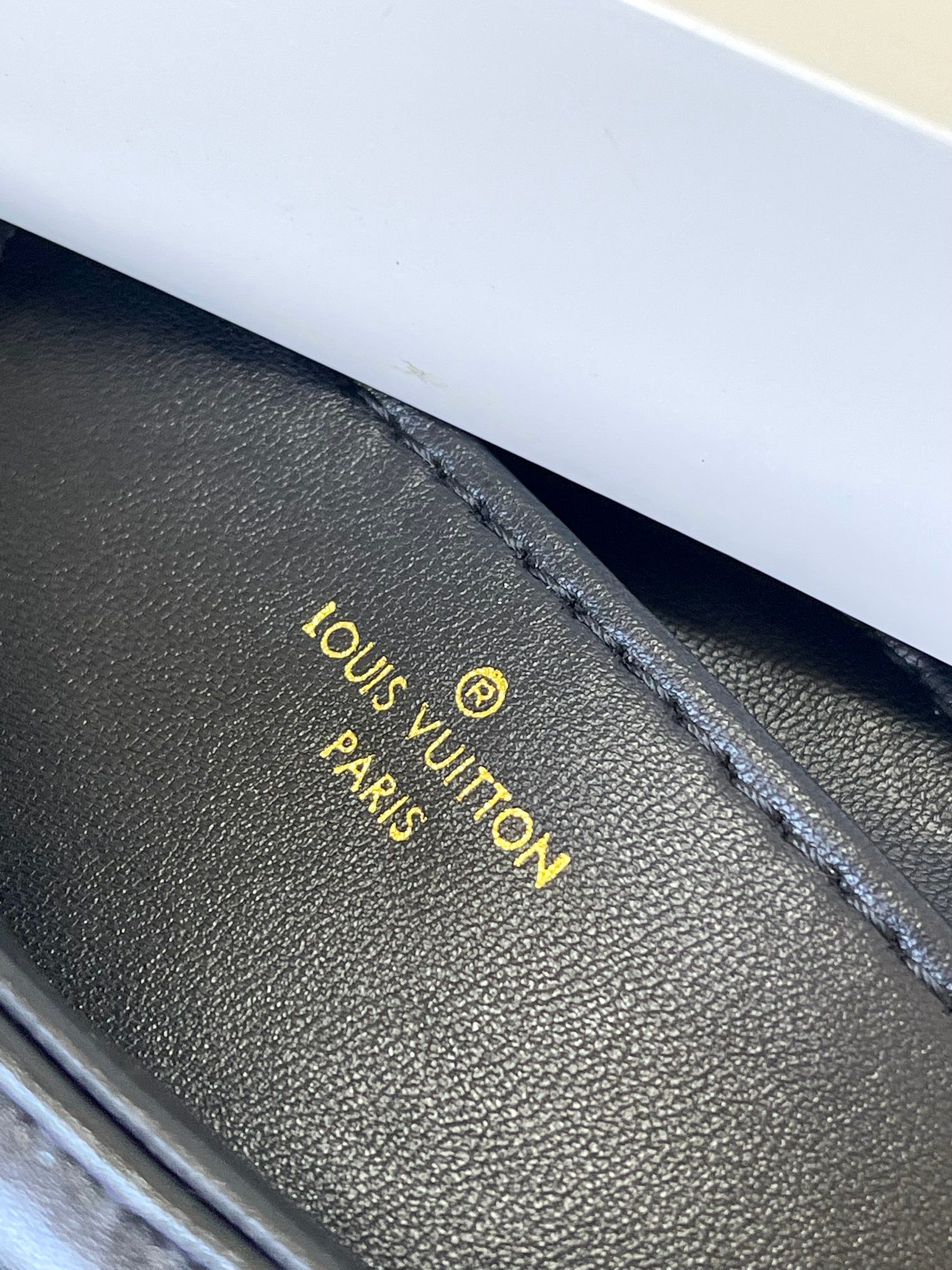 LOUIS VUITTON M23689 GO-14 GM (31*19.5*11cm) - Image 10
