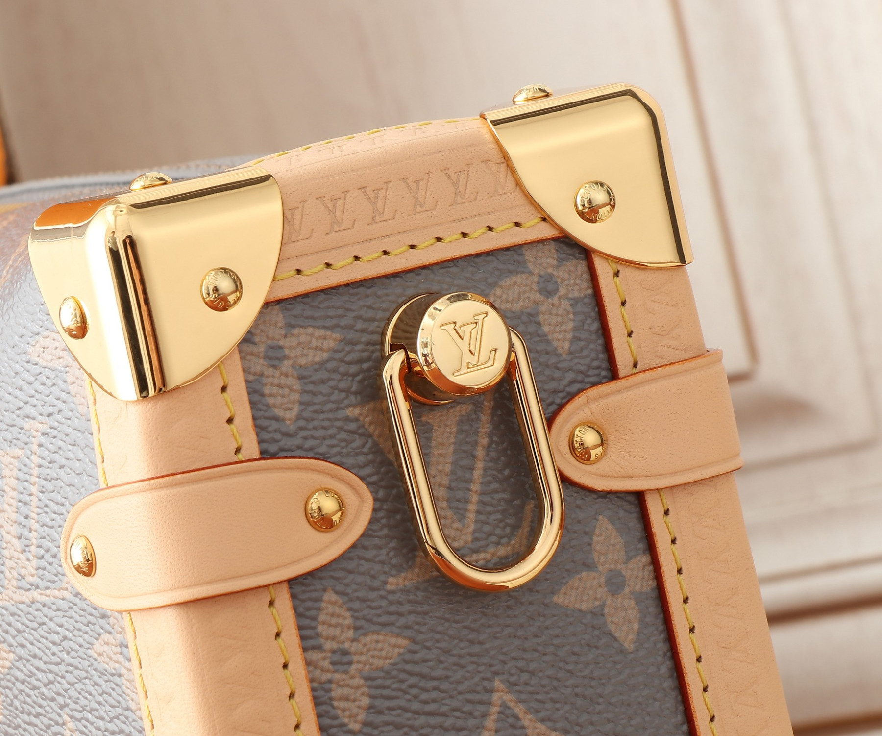 LV Side Trunk M12428 (21x14x6CM) - Image 12