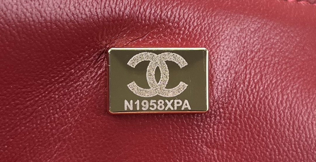 Chanel Classic Flap Bag 25cm - Image 10