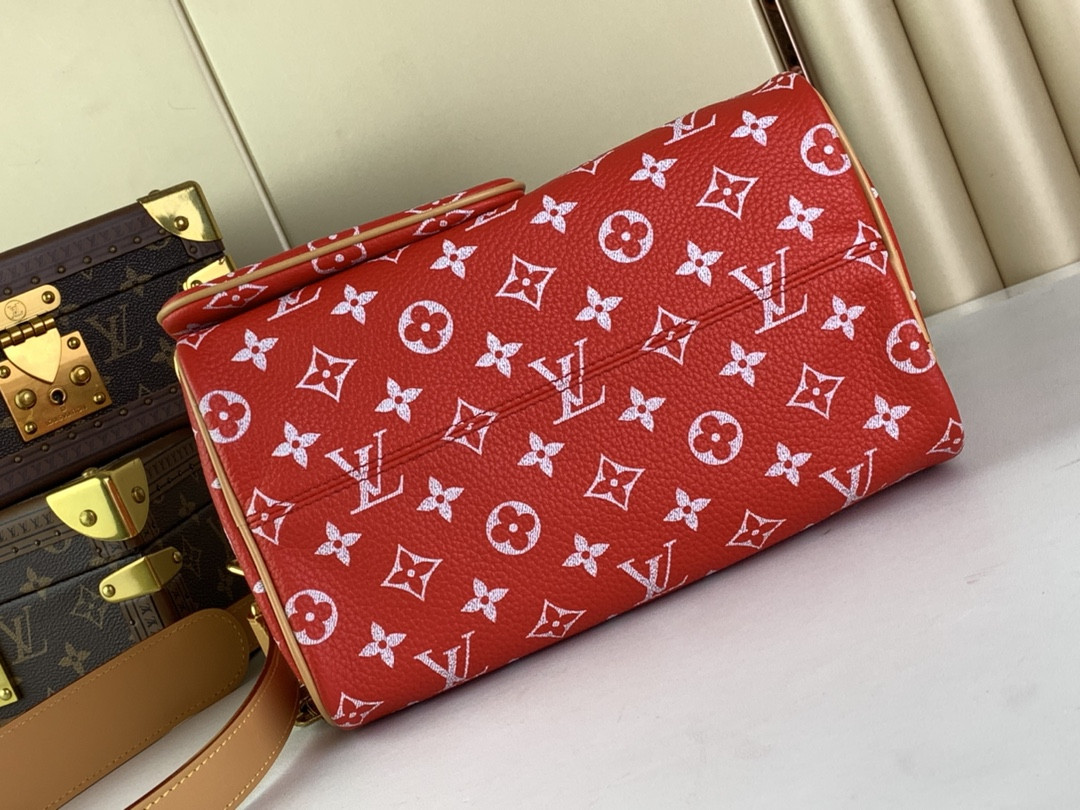 LV SPEEDY Bandoulière25 M24425 - Image 5
