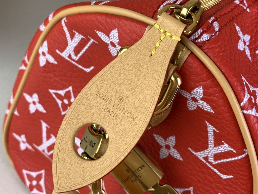 LV SPEEDY Bandoulière25 M24425 - Image 6