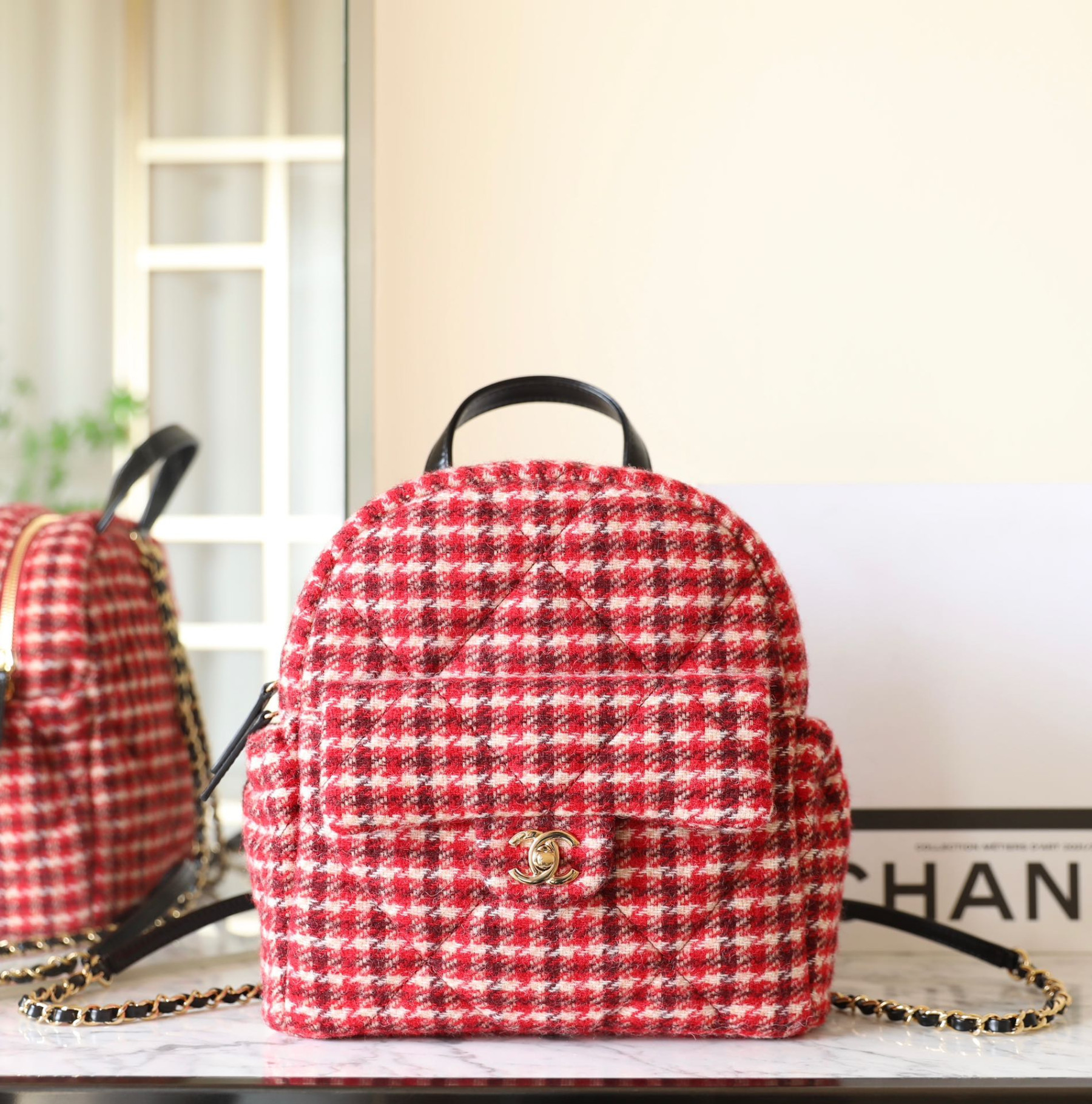 Chanel Coconeige Backpack 9945 (28x26x11cm) - Image 3