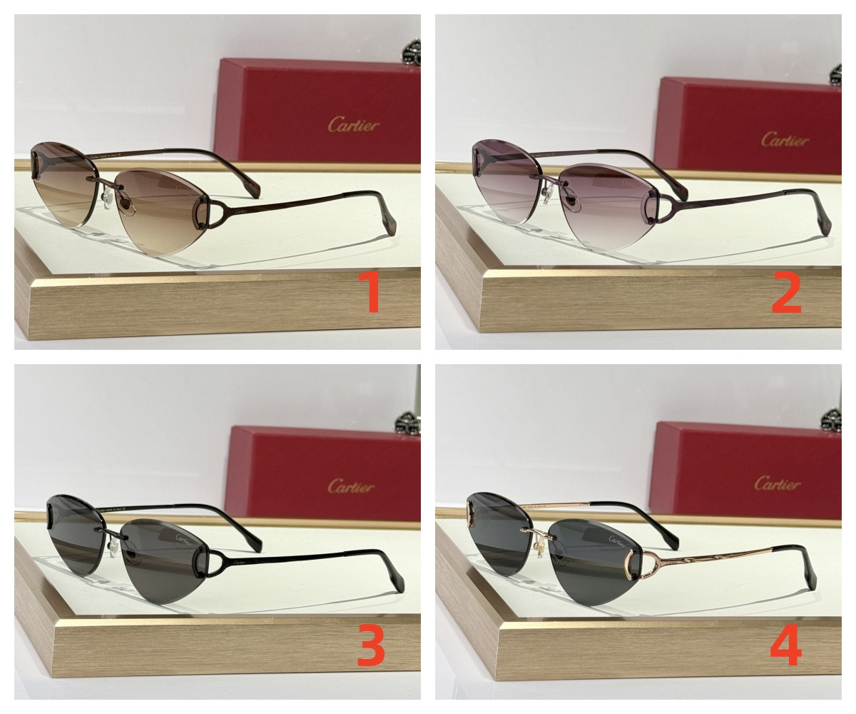 Cartier Glasses CT0334S 65-15 146 - Image 2