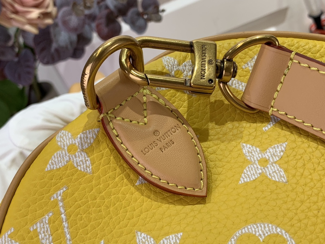 LV Speedy P9 Bandoulière 40 Jaune Mat M24419 40 x 26 x23cm - Image 9