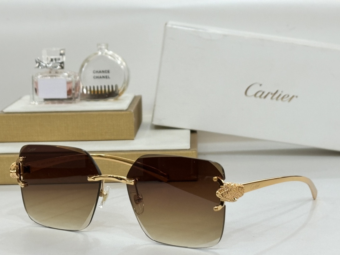Cartier Glasses CT0647 60-17-145 - Image 8
