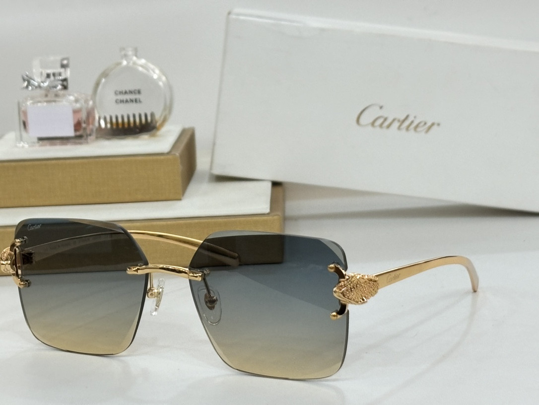 Cartier Glasses CT0647 60-17-145 - Image 6