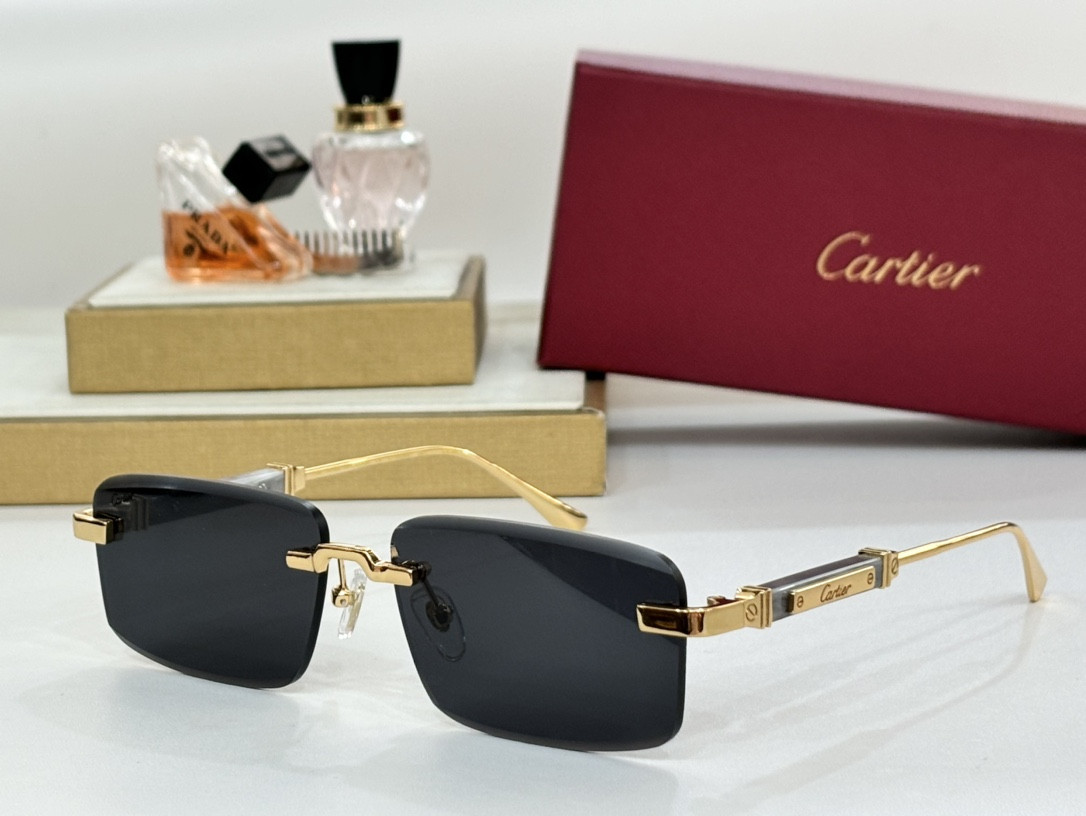Cartier Glasses CT0630 - Image 6