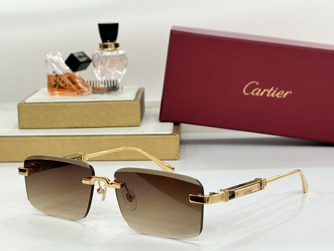Cartier Glasses CT0630 - Image 8