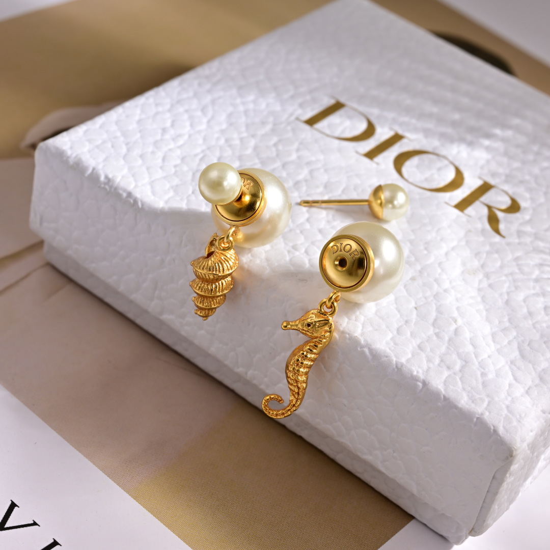 Dior Jewelry Earring Metal texture counterattack version of the letter tide fan - PONI