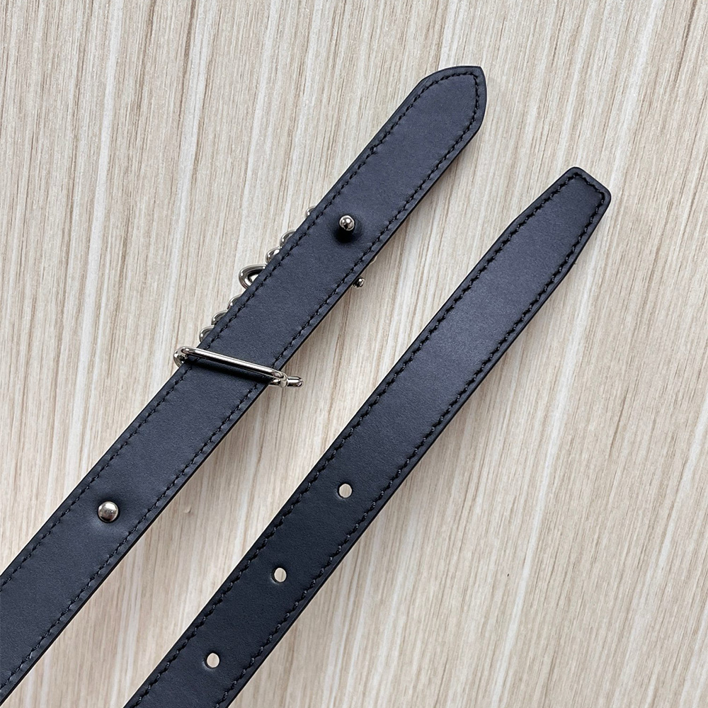 Louis Vuitton Belt (Replica) - Ultra-Collection - Image 11