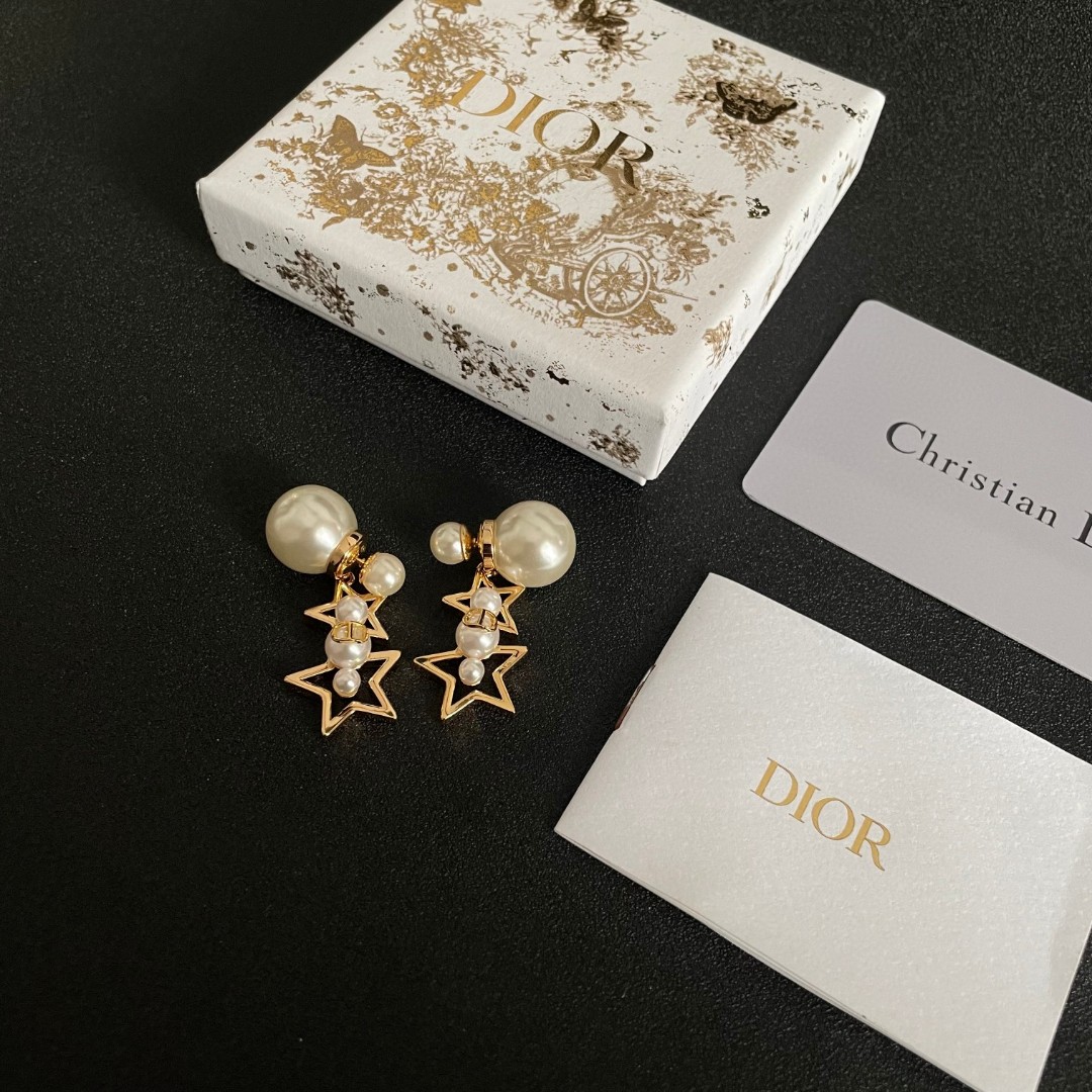 Dior Jewelry Earring Middle Ages Earrings - PONI - Image 2