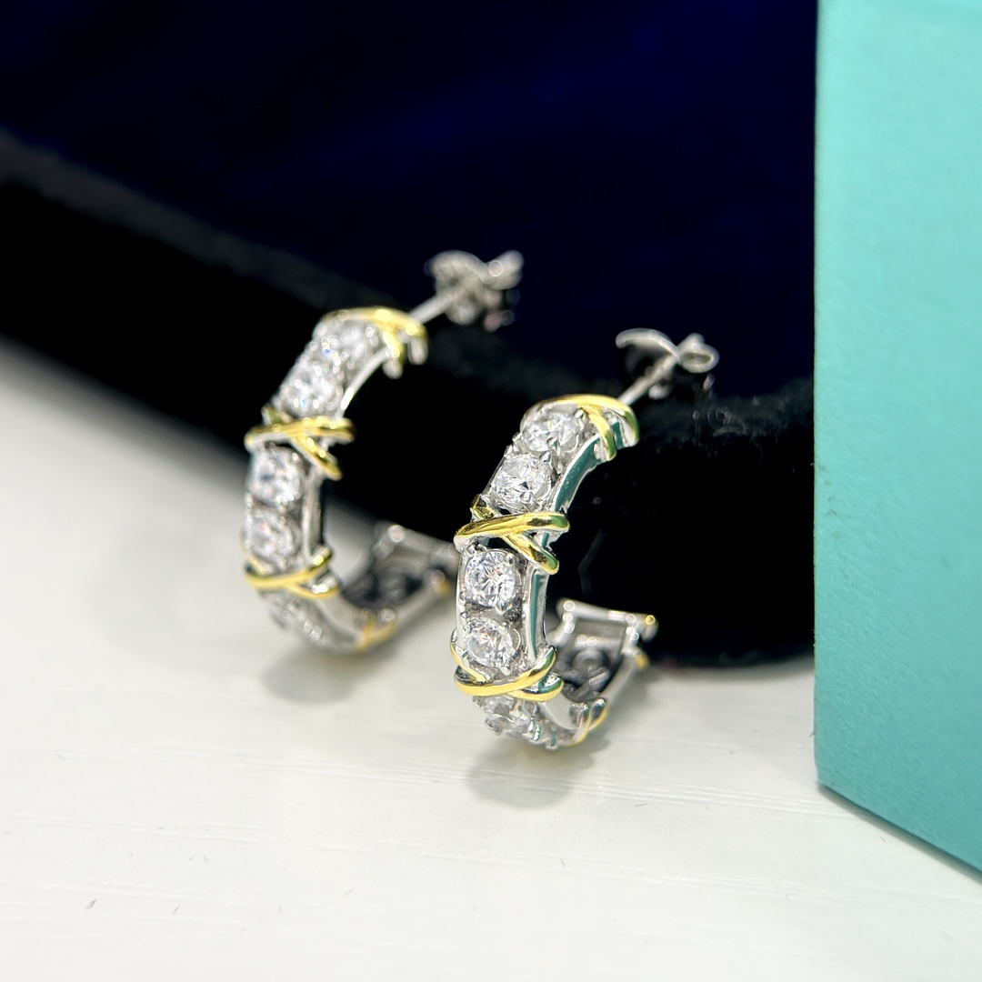 Tiffany & Co. Earring 011 - SUPER-MIRROR
