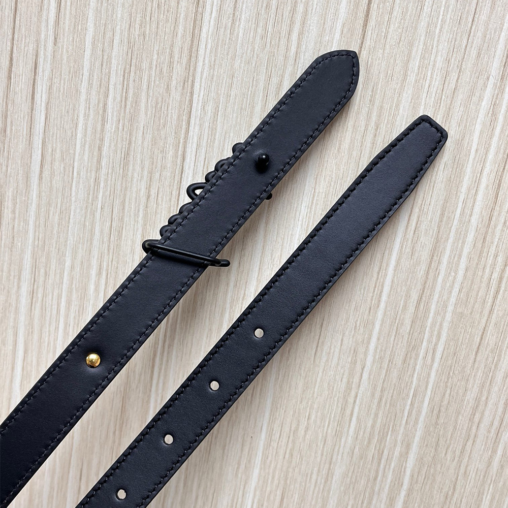 Louis Vuitton Belt (Replica) - Ultra-Collection - Image 17