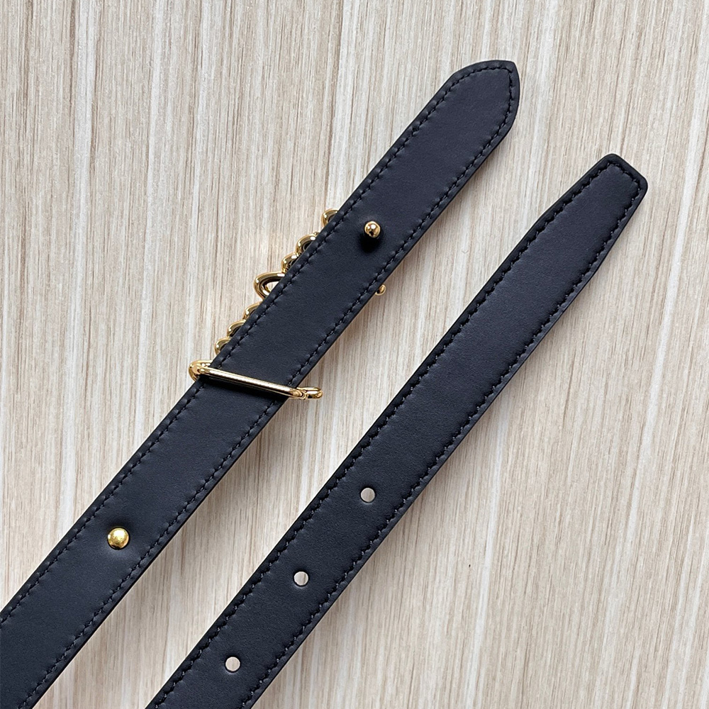 Louis Vuitton Belt (Replica) - Ultra-Collection - Image 5